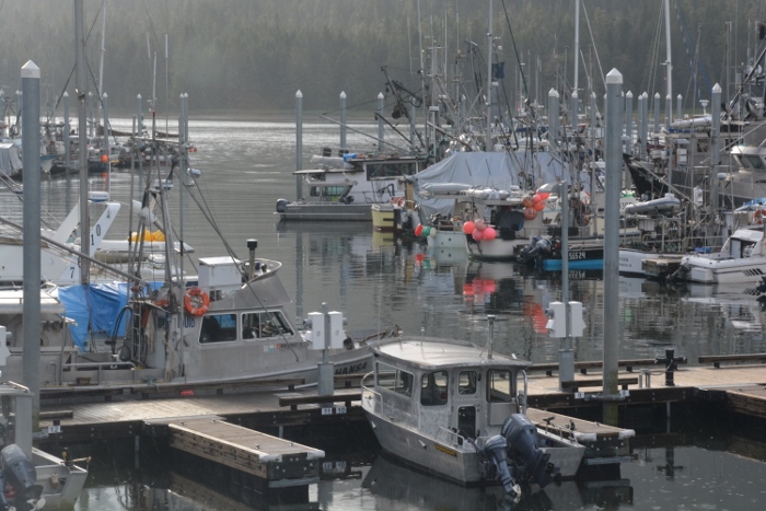 north harbor